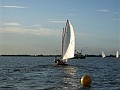 donderdag 14-8-08 (28)